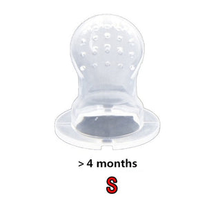 Infant Fruit Feeder Toy