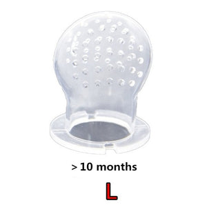 Infant Fruit Feeder Toy